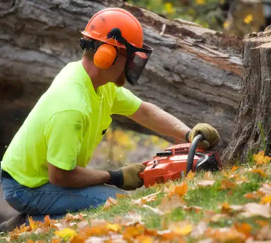 tree services Lyndon